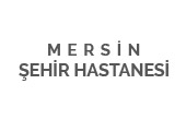Mersin Şehir Hastanesi Nakliyat İşlemleri